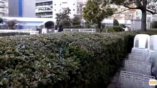 迪昂精品流出江苏大学工商管理系校花网曝视频